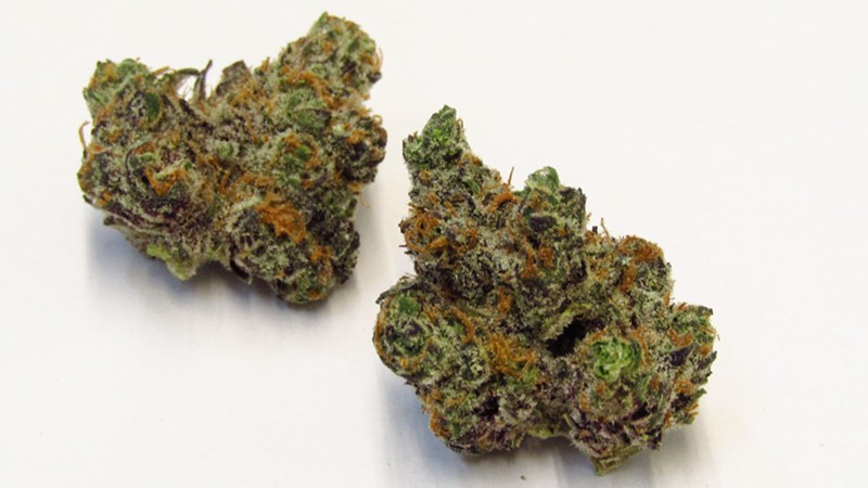 Apple Fritter strain