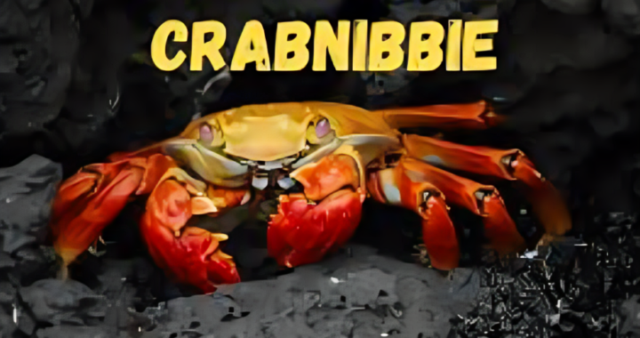 Alluring Beauty: Creative Portrayals of Crabnibbie