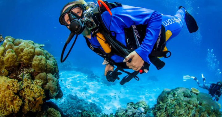 Explore the Hidden Depths: Top Reasons to Go Scuba Diving in Nauru