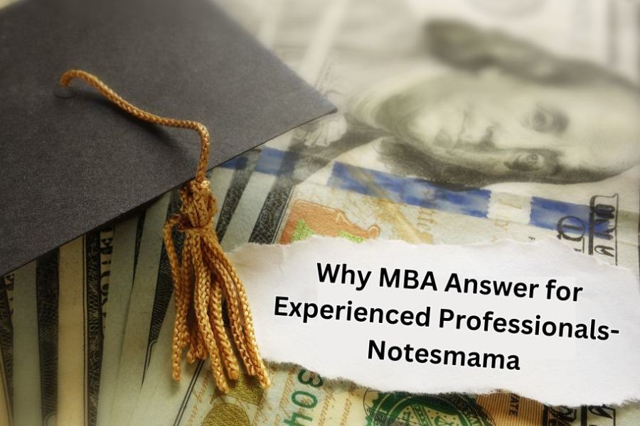 why mba answer for experienced professionals-notesmama